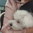 창녕 남산근린공원 이미지