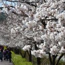 조원공원사거리 이미지