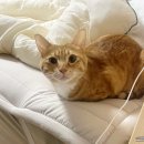 칠곡온동물의료센터 이미지