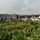 ‘도시농부’가 제일이여~ 제1회 광명도시농업축제 ‘성료’ 이미지