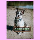 우성프라자 앞 | 분당 영어교육 스테파노어학원 스테파노어학원 열정과 맞춤 지도의 기록