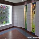 나비생태공원 이미지