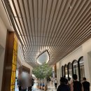 경기 | 블랙 컴뱃 :: 인스파이어 아레나 경기 직관 후기 (+주차, 먹거리, 입장방법)