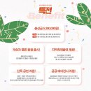 강원뮤직 네이버블로그