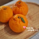 퀸마트 이미지
