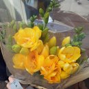 엄마의 마음 이미지