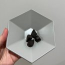 [베리봄] 강아지 피부와 눈을 동시에 케어할 수 있는 영양제 후기