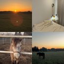 팜팜스테이 이미지