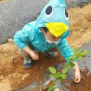 동준농장 이미지