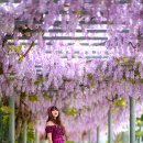 대구상인초등학교 이미지