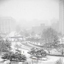 조선대학교 이미지