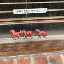 남동구청 보건소 앞 | 소설원 인천 만수동 카페 추천/남동구청 근처 카페/주차 정보