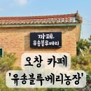 유송블루베리농장 이미지