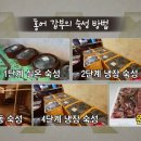 김지순홍어