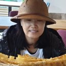 지리산산삼산야초 이미지