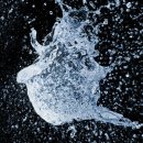 SOLID FITNESS 이미지