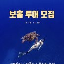 카카오_프리다이빙 이미지