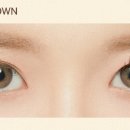 제주돌체 이미지