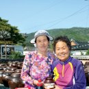 강진된장영농조합법인 이미지