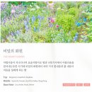 작은여우비 이미지