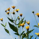 물안골농장 이미지