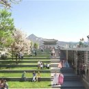 시민회관 앞, 옆 이미지