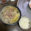 전현무계획 동대문 대화정 진짜 해장국 후기
