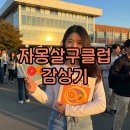 PC클럽 | 자몽살구클럽 책·앨범 해석과 콘서트 후기