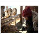 더존목장 이미지