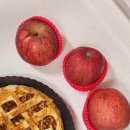 장수사과원예농업협동조합 | 부사 못난이사과 가정용사과 후기, 농가 돕고 맛까지 좋은 문경 사과 애플파이까지