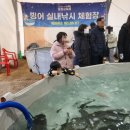 포천동장군축제 송어빙어낚시 주말 방문 솔직후기