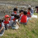 이원초교 병설유치원 이미지