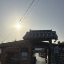 꿈꾸는 나무들