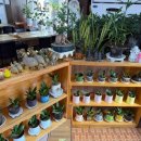 큰바위숯불갈비 이미지