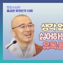 불교란 무엇인가 13회 이미지