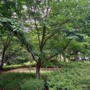 염주근린공원 이미지