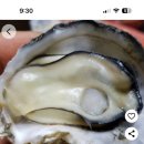 화장산 캠핑장 이미지