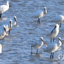 시화호수로 이미지