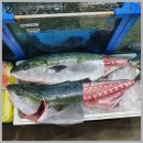 삼원회수산