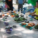 개울건너 민박 이미지