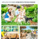 두루누릴 농장 | [베트남여행지추천] 푸꾸옥 3박5일 패키지 풀빌라 업그레이드 12월 1월 얼리버드 특가 일정