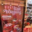 카페요아정의정부