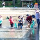 저도어촌체험휴양마을 이미지