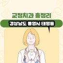 경상남도 통영시 태평동 교정치과 총정리