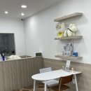 빵독 반려미용실 이미지