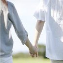 비비라인