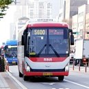 화랑마트 앞 이미지