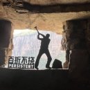 돌산가축 이미지