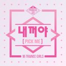48 티브이데일리
