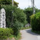 서봉산산림욕장 이미지